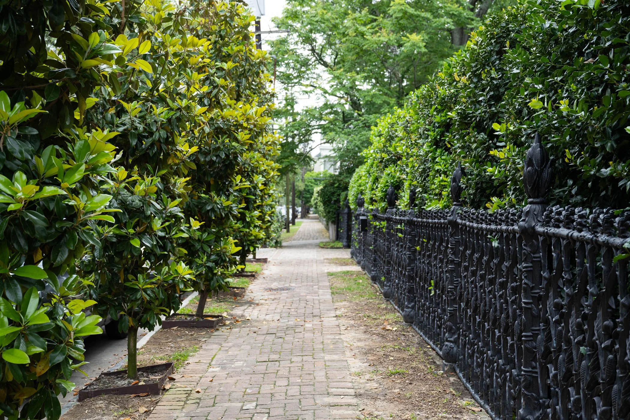 Garden District